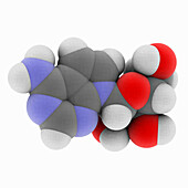 Tubercidin, molecular model, illustration