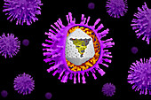 Varicella zoster virus particles, illustration