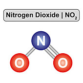 Nitrogen dioxide molecule, illustration
