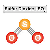 Sulphur dioxide molecule, illustration