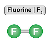 Fluorine molecule, illustration