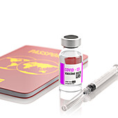 Covid-19 vaccine for travel, illustration