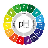 pH scale, illustration
