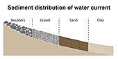 Sediment distribution, illustration