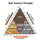 Soil texture triangle, illustration