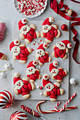 Father Christmas biscuits