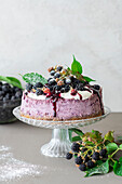 Blackberry cheesecake