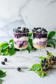 Brombeer-Trifle