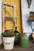 Enamel bucket with primroses (Primula), balloon bottle with fruit branches and wreath of clematis branches on house wall