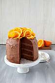 Chocolate layer dome cake with oranges