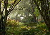 Autumn atmosphere with bench in orchard, Germany