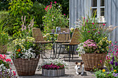 Table, chairs and summer flowers in plant baskets on a wooden terrace