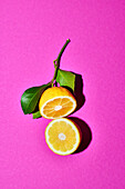 Halved Amalfi lemon with leaves on a pink background
