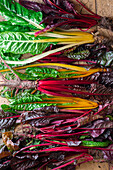 Fresh colorful chard with roots