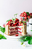 Strawberry tiramisu cake