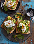 Whole wheat avocado toast with poached egg
