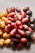 Colorful potato varieties
