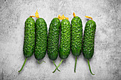 Fresh organic farm cucumbers