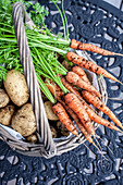 Frisch geerntete Kartoffeln und Karotten aus dem Garten