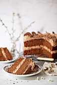 Chocolate sponge cake with chocolate buttercream
