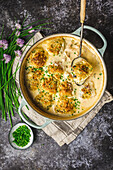 Chicken stew with dumplings and chives