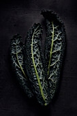 Cavelo Nero leaves against a dark background