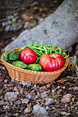 Bio-Tomaten, Zucchini und grüne Bohnen in einem Korb