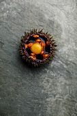 Freshly opened sea urchin with quail egg and soy sauce