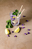 Limeade soda cocktail with mint, ice cubes, violet flowers, and lime slices