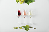 Red, rose and white wine in glasses and Branch of vine leaves on white background