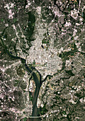 Washington DC, USA, satellite image