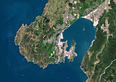 Wellington, New Zealand, satellite image