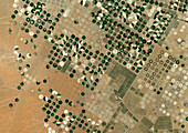 Crop circles in desert, Saudi Arabia, satellite image