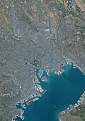 Tokyo, Japan, satellite image