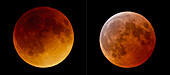 Comparison of total lunar eclipses