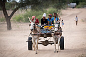 Donkey cart with children