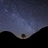Night sky over Sycamore Gap, Northumberland National Park, UK