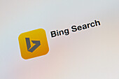 Search engine logo