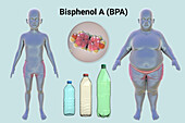 Link between plastics and obesity, conceptual illustration