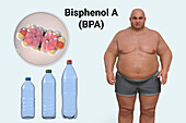 Link between plastics and obesity, conceptual illustration