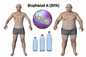 Link between plastics and obesity, conceptual illustration