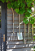 Garden tools on wooden wall, open storage in backyard