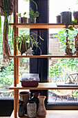 Plant shelf by the window with pots and vases with a garden view