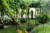 Pergola overgrown with vines, statue and snowball hydrangea in the garden