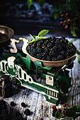 Fresh blackberries with leaves on an old vintage scale