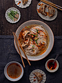 Asian noodles with shrimp dumplings in broth