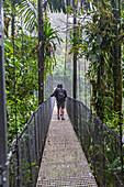 Tourists crossing a suspension bridge in a rainforest