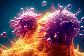 Cancer cells, illustration