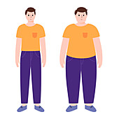 Obese and normal weight man, illustration