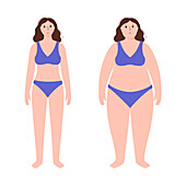 Obese and normal weight woman, illustration